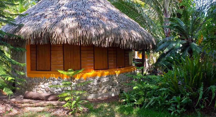 Case Mélanésienne 10