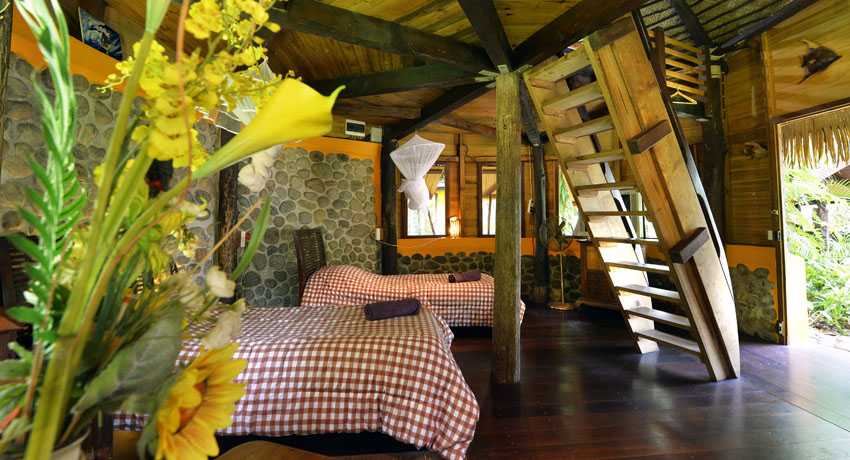 Case Mélanésienne 11