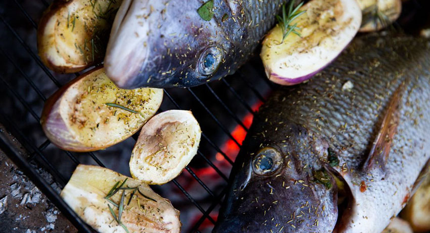 Déjeuner au Nekweta