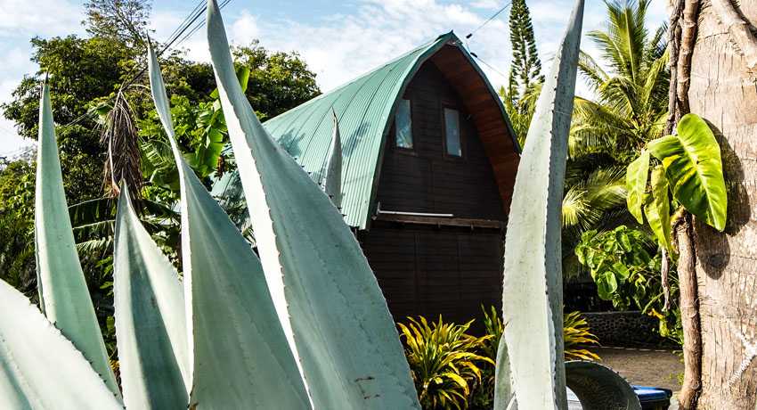 Chambre Tropicale 10